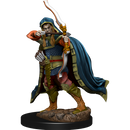 Wizkids D&D Miniature 93048 Elf Rogue Male Prepainted