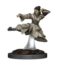 Wizkids D&D Miniature 93044 Human Monk Female Prepainted