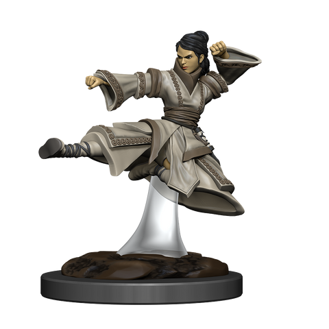 Wizkids D&D Miniature 93044 Human Monk Female Prepainted