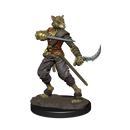 Wizkids D&D Miniature 93050 Tabaxi Rogue Male Prepainted