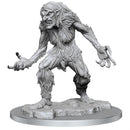 Wizkids Minis D&D 90466 Night Kit: Ice Troll