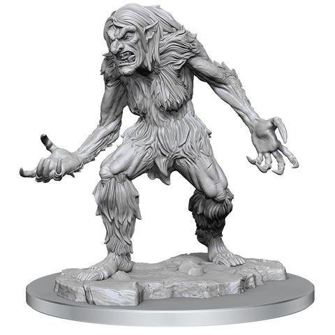 Wizkids Minis D&D 90466 Night Kit: Ice Troll