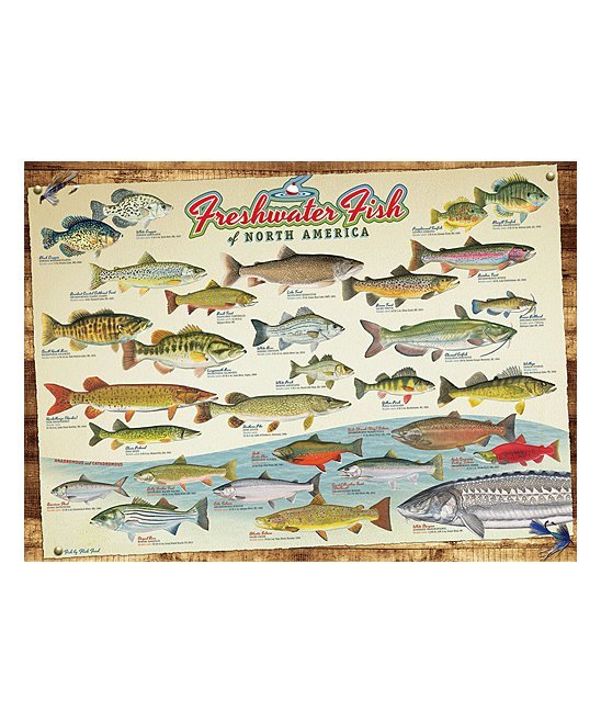 Cobble Hill Puzzle 1000 Piece Freshwater Fish