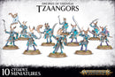 GW Age of Sigmar Disciples Of Tzeentch Tzaangors