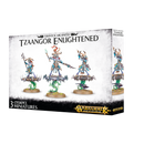 GW Age of Sigmar Disciples of Tzeentch Tzaangor Enlightened