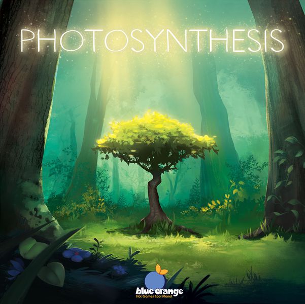 Bg Photosynthesis