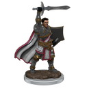 Wizkids D&D Miniature 93058 Human Male Paladin Prepainted