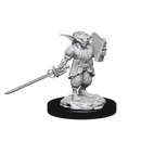 Wizkids Minis D&D 90309 Goblin Male Rogue/Female Bard