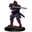 Wizkids Minis D&D 90310 Hobgoblin Male and Female