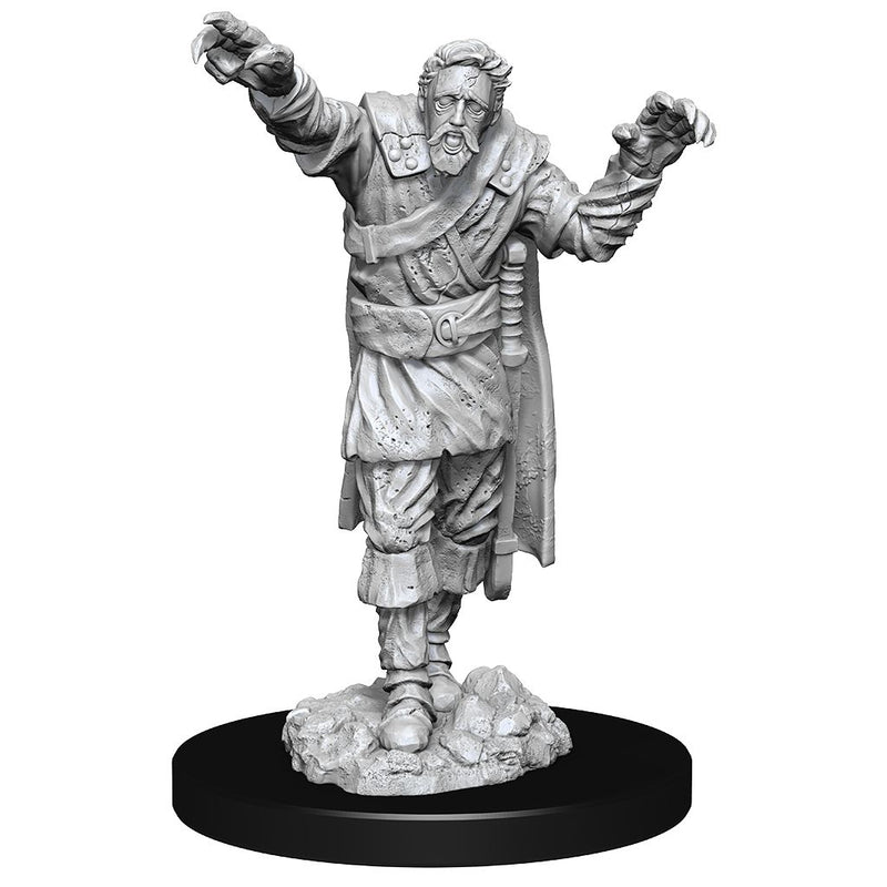 Wizkids Minis D&D 90241 Scarecrow & Stone Cursed