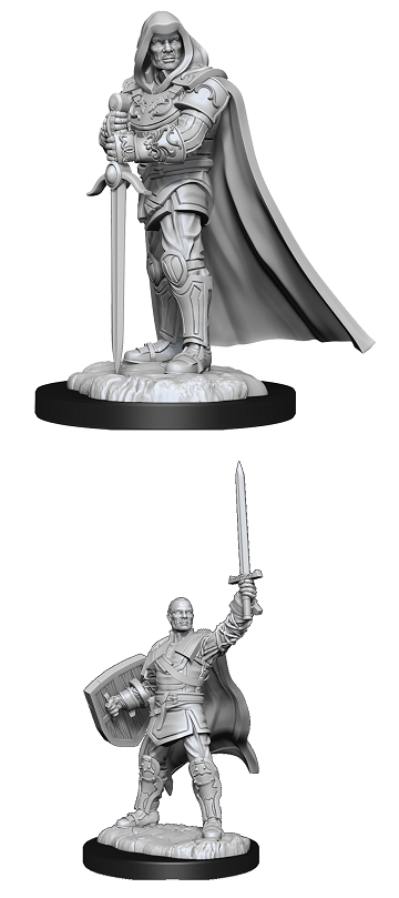 Wizkids Minis D&D 90136 Human Paladin Male