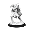Wizkids Minis D&D 90320 Winter and Spring Eladrin