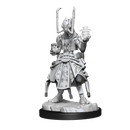 Wizkids Minis Starfinder 90335 Shirren Technomancer