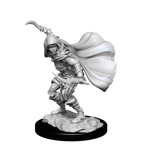 Wizkids Minis Pathfinder 90269 Human Rogue Female