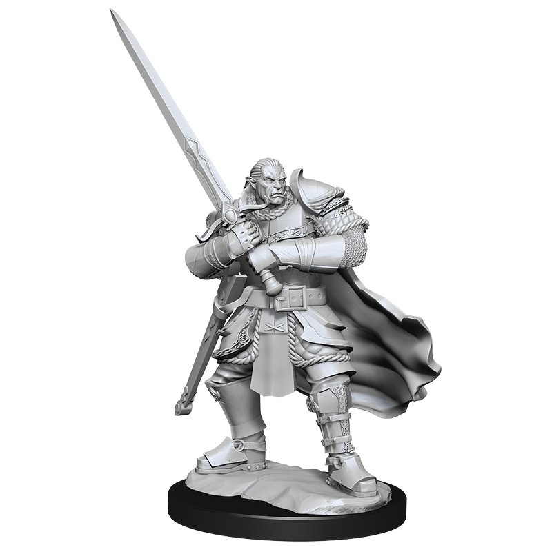 Wizkids Minis D&D 90307 Half-Orc Paladin Male