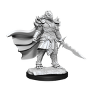 Wizkids Minis D&D 90302 Dragonborn Fighter Female