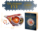 Puzzle Dr. Livngston's Anatomy Puzzle Human Eye 450 Pcs