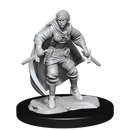 Wizkids Minis D&D 90228 Half-Elf Rogue Female
