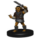 Wizkids D&D Miniatures Icons of the Realms: Goblin Warband
