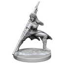 Wizkids Minis D&D 90225 Human Monk Female