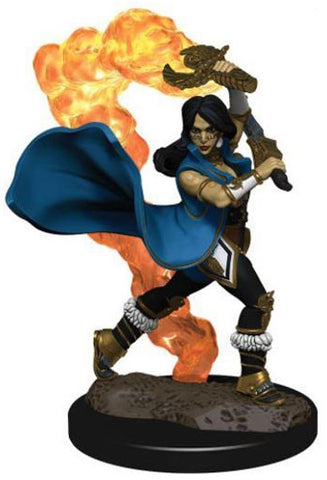 Wizkids Pathfinder Minis 77507 Human Cleric Female Prepainted