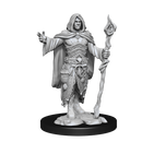 Wizkids Minis D&D 90221 Human Druid Male