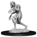 Wizkids Minis Pathfinder 90266 Annis Hag and Green Hag