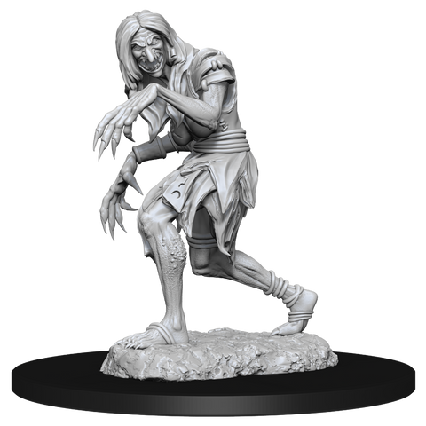 Wizkids Minis Pathfinder 90266 Annis Hag and Green Hag
