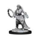 Wizkids Minis D&D 90225 Human Monk Female