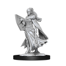 Wizkids Minis D&D 90233 Kalashtar Cleric Female