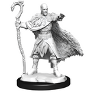 Wizkids Minis D&D 90221 Human Druid Male