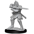 Wizkids Minis D&D 90310 Hobgoblin Male and Female