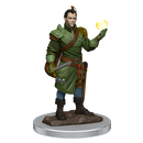 Wizkids D&D Miniature 93057 Half-Elf Male Bard