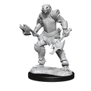 Wizkids Minis D&D 90302 Dragonborn Fighter Female