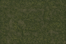 D&D Icons of the Realms Battle Mat - Grasslands