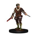 Wizkids D&D Minis 93022 Prepainted Human Rogue Male