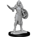 Wizkids Minis Pathfinder 90264 Human Champion Female