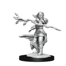 Wizkids Minis D&D 90223 Human Druid Female