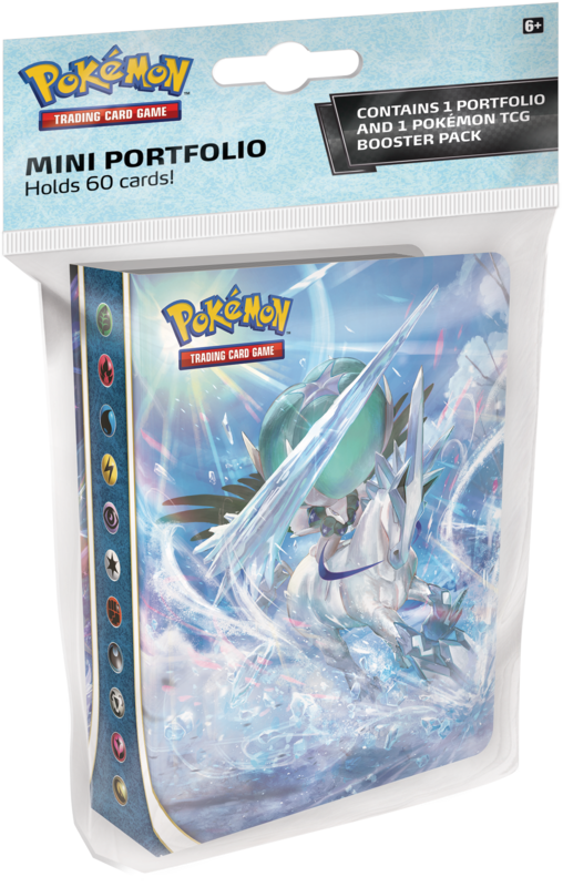 Pokémon SS06 Chilling Reign Mini Binder