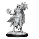 Wizkids Minis D&D 90310 Hobgoblin Male and Female