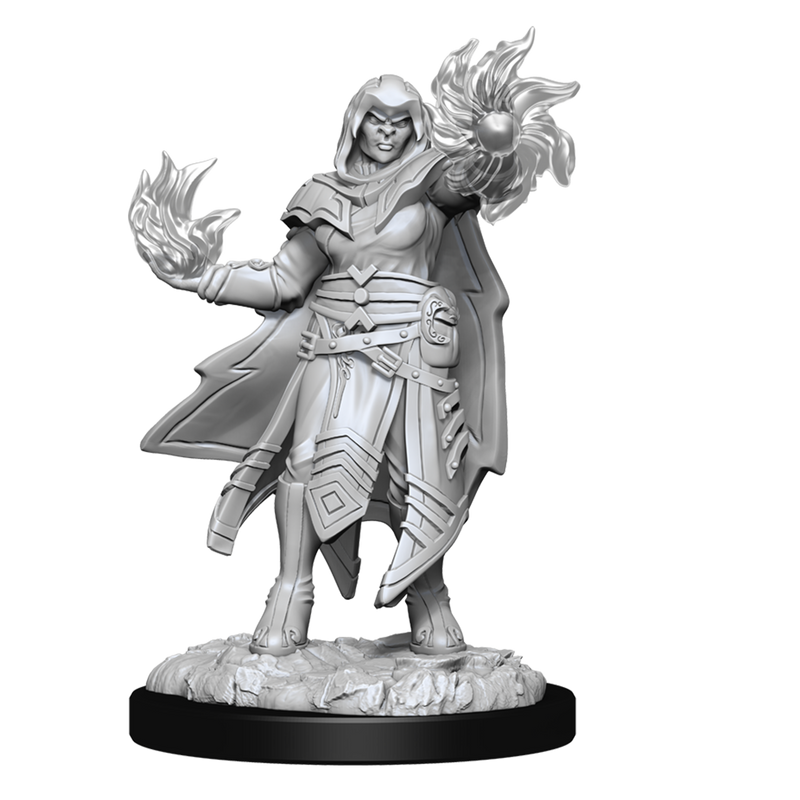 Wizkids Minis D&D 90310 Hobgoblin Male and Female