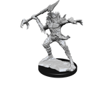 Wizkids Minis D&D 90245 Koalinths