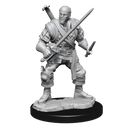 Wizkids Minis D&D 90306 Human Bard Male