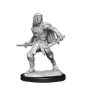 Wizkids Minis D&D 90236 Warforged Rogue