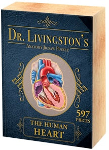 Puzzle Dr. Livngston's Anatomy Puzzle Human Heart 597 Pcs