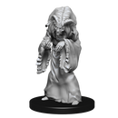 Wizkids Minis D&D 90239 Night Hag & Dusk Hag