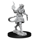 Wizkids Minis D&D 90304 Tiefling Sorcerer Female