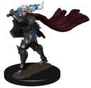 Wizkids Pathfinder Minis 77508 Elf Champion Female Prepainted