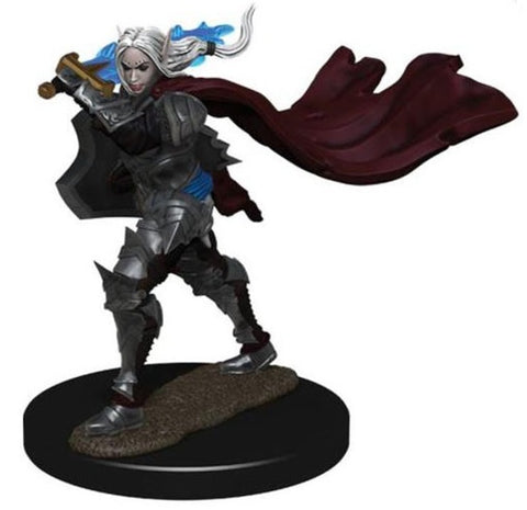 Wizkids Pathfinder Minis 77508 Elf Champion Female Prepainted