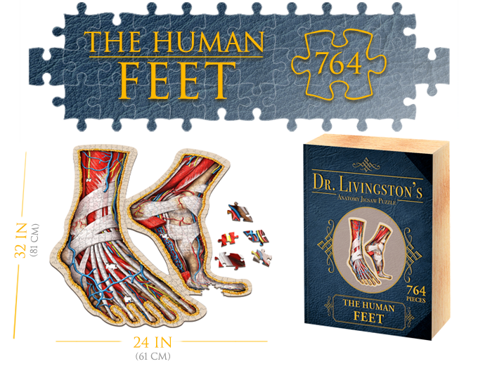 Puzzle Dr. Livngston's Anatomy Puzzle Human Feet 762 Pcs